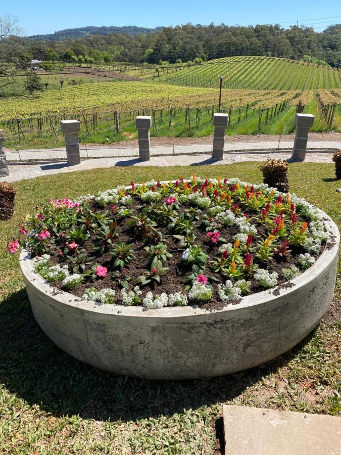 Vista Vigneti & Vino - Vale Dos Vinhedos Bento Goncalves