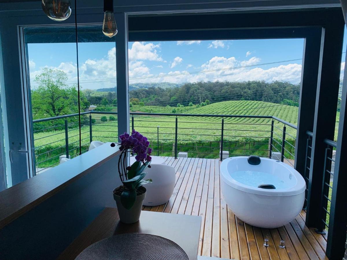 Vista Vigneti & Vino - Vale Dos Vinhedos * Bento Gonçalves