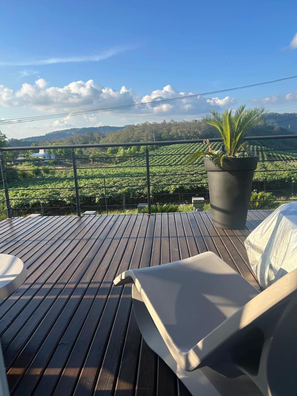 Vista Vigneti & Vino - Vale Dos Vinhedos