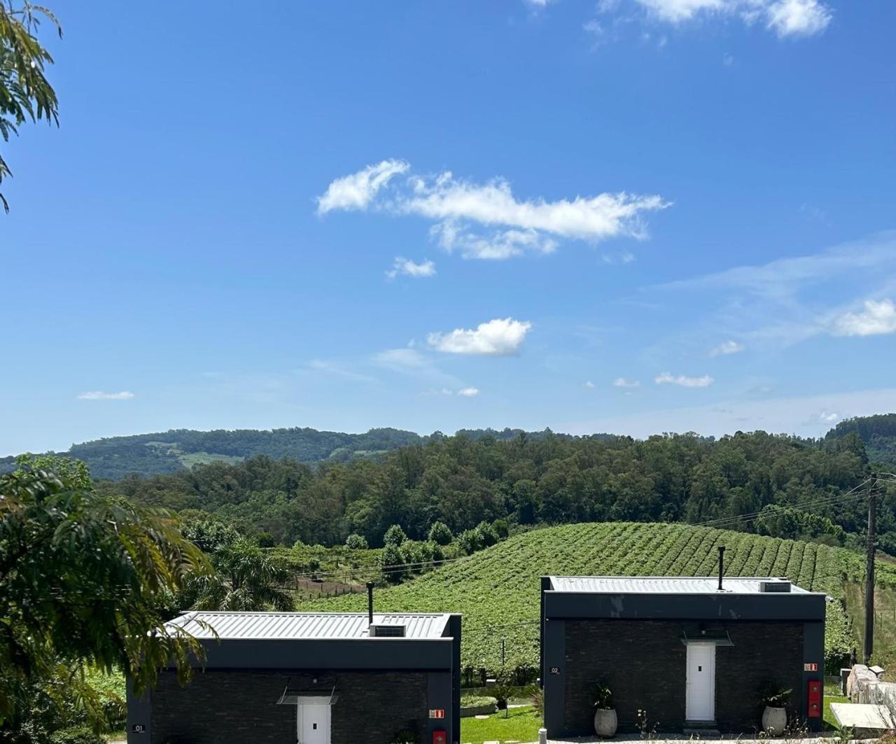 Vista Vigneti & Vino - Vale Dos Vinhedos Pensión