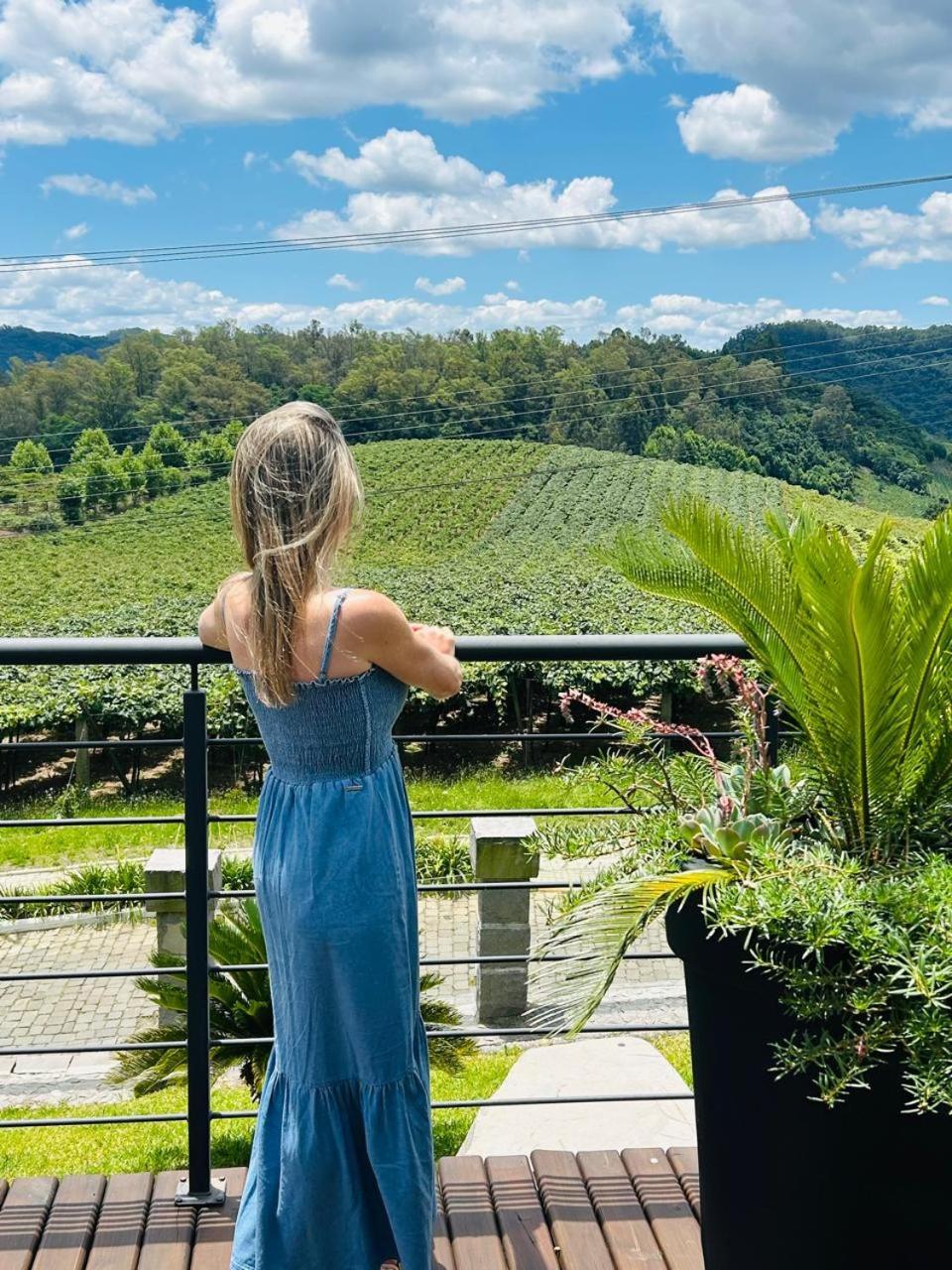 Vista Vigneti & Vino - Vale Dos Vinhedos Pensión